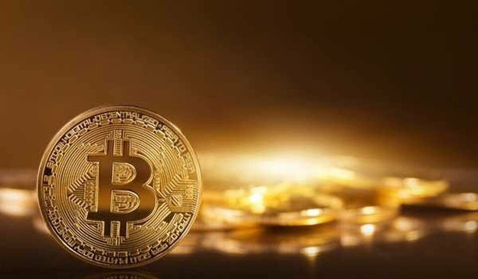 Crypto Investor